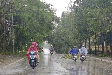 Nghệ An: chủ động ứng phó mưa lớn, lũ và sạt lở