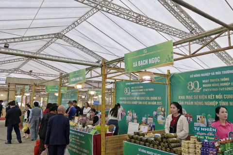 Nghệ An: nỗ lực đẩy mạnh kết nối cung cầu, quảng bá cho sản phẩm nông nghiệp