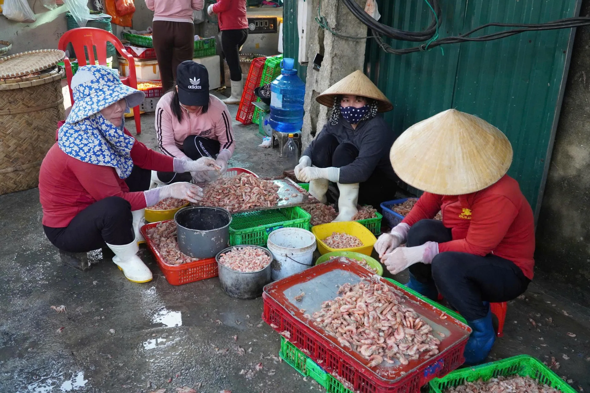 Nghệ An: nỗ lực nâng tầm sản phẩm từ biển thành những mặt hàng OCOP 