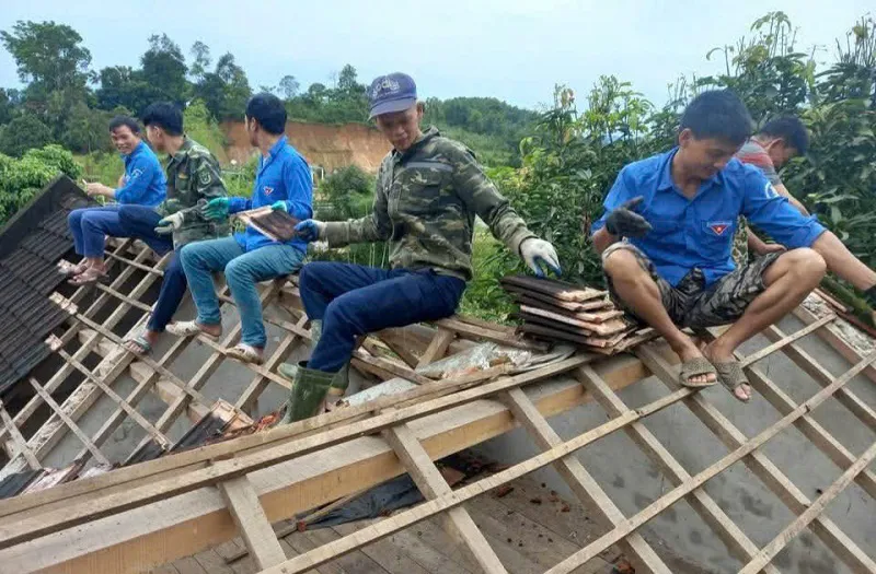 Hình ảnh 2