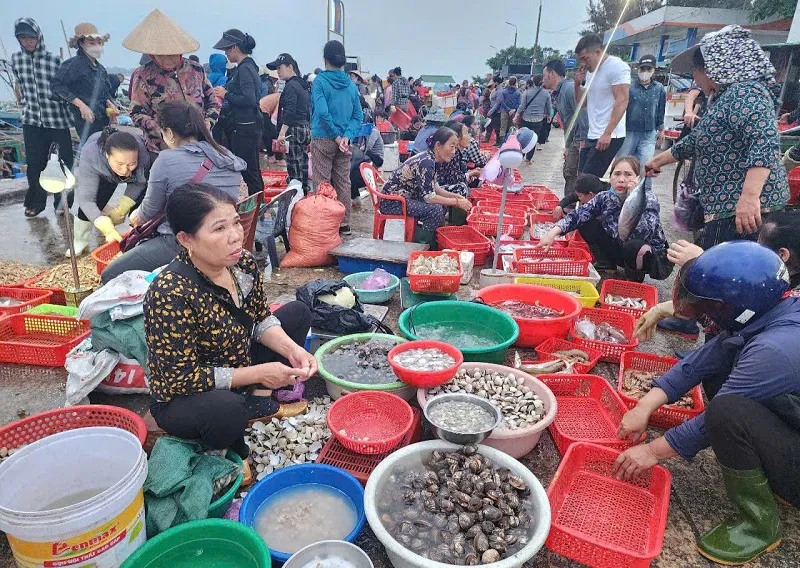 Hình ảnh 3