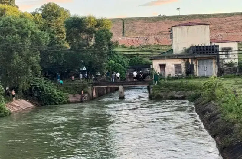 Hình ảnh 3