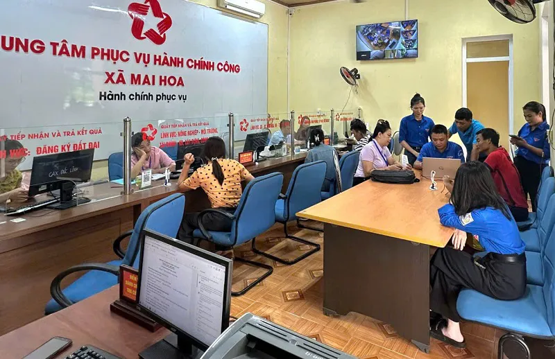 Hình ảnh 4