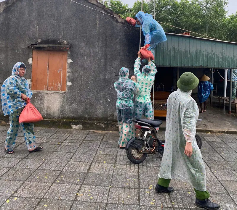 Hình ảnh 2