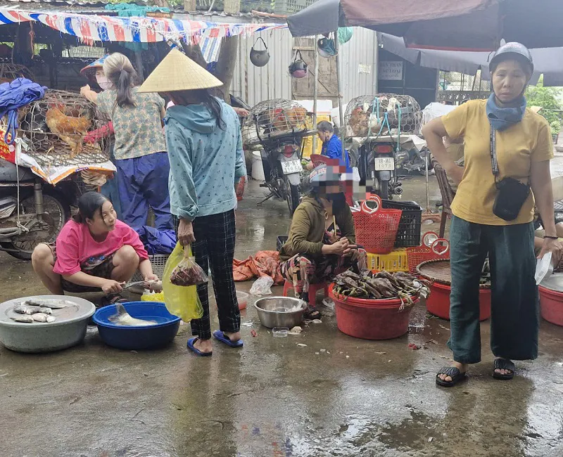 Hà Tĩnh: ngang nhiên bán chim hoang dã ở chợ Giang Đình