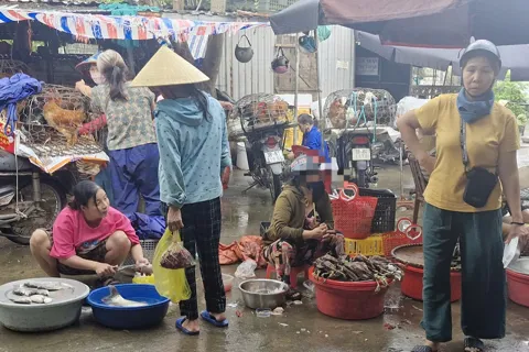 Hà Tĩnh: ngang nhiên bán chim hoang dã ở chợ Giang Đình