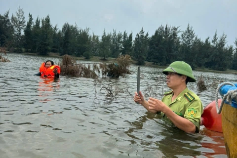 Hà Tĩnh: ra quân ngăn chặn săn bắt chim di cư mùa mưa bão