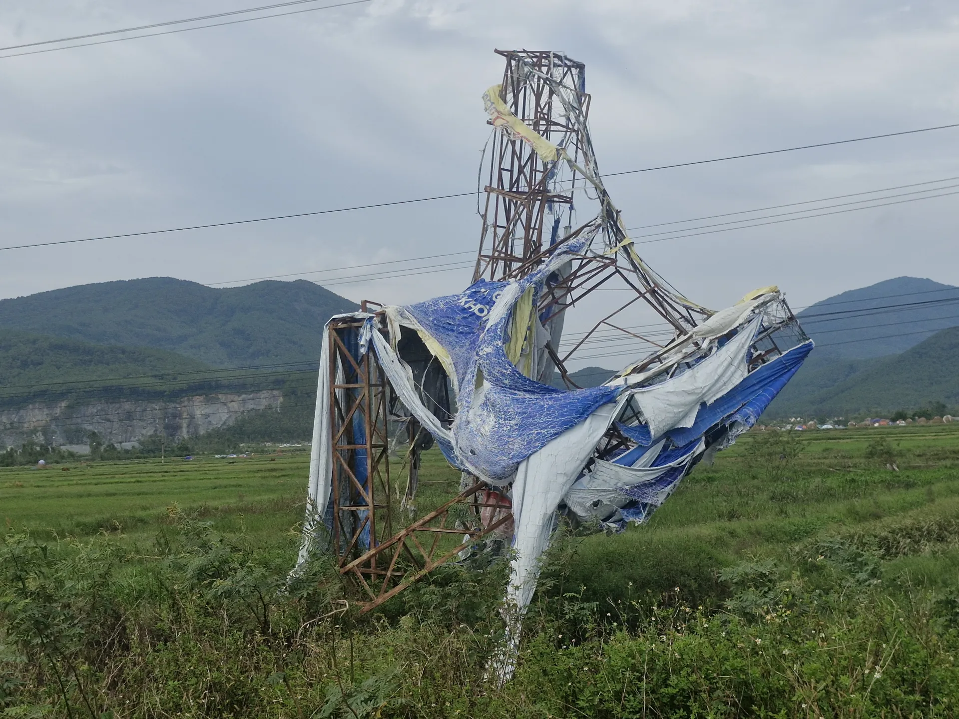Hình ảnh 3