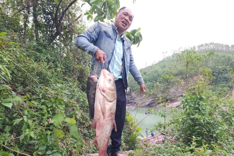 Hà Tĩnh: người dân đổ xô ra tràn Dốc Miếu đánh bắt cá mè