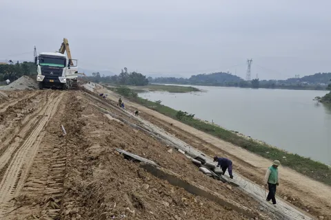 Hà Tĩnh: tập trung duy tu, bảo dưỡng đê La Giang