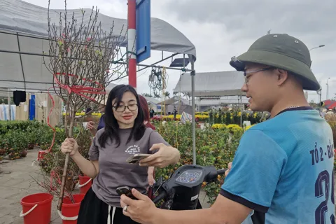 Hà Tĩnh: rộn ràng chợ hoa ngày áp Tết Bính Ngọ