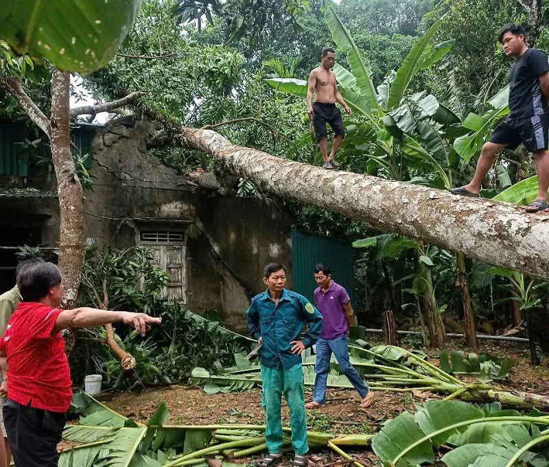 Hà Tĩnh: ứng phó với sự cố thiên tai bất thường