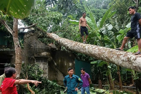 Hà Tĩnh: ứng phó với sự cố thiên tai bất thường
