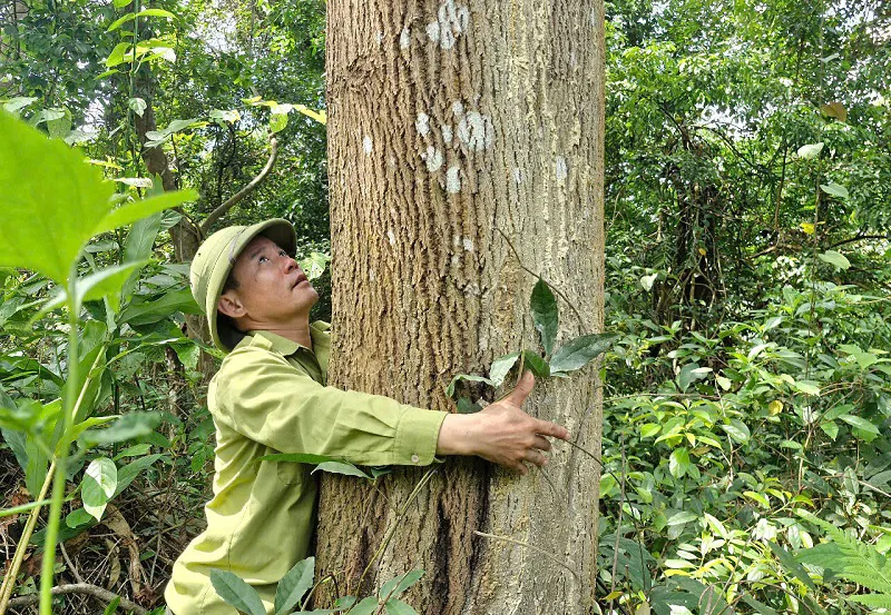 Hình ảnh 2