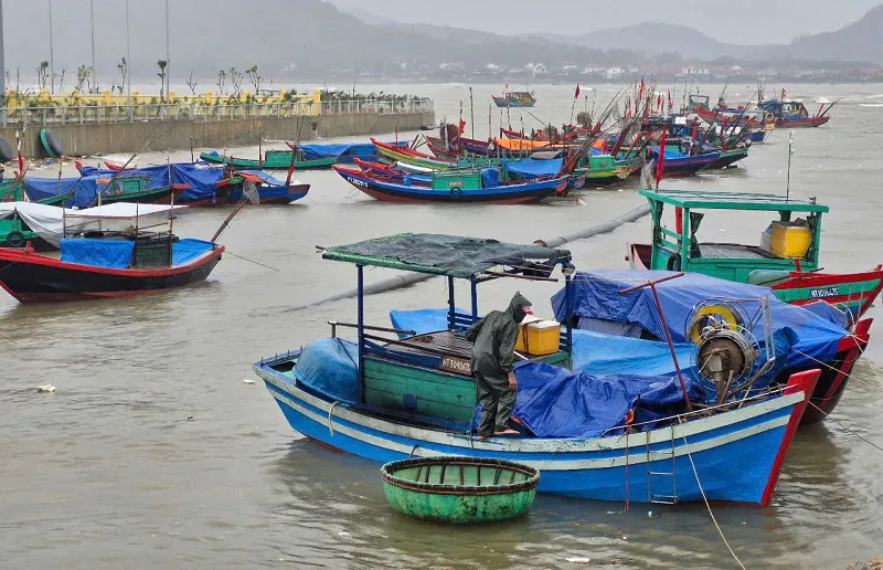 Hình ảnh 2