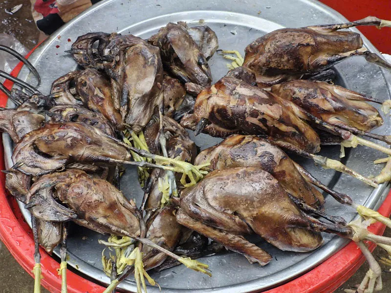 Hình ảnh 3