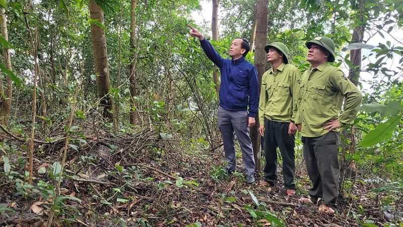 Khám phá Khu bảo tồn thiên nhiên Kẻ Gỗ