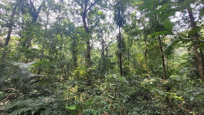 Hình ảnh 11
