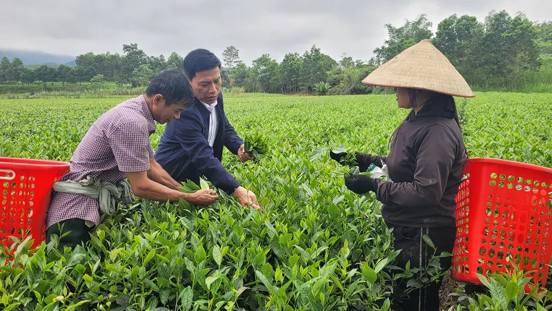 Hà Tĩnh: thúc đẩy phát triển kinh tế vùng biên giới