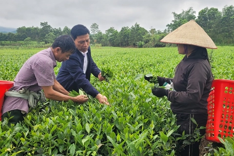 Hà Tĩnh: thúc đẩy phát triển kinh tế vùng biên giới