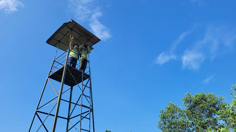 Hình ảnh 10