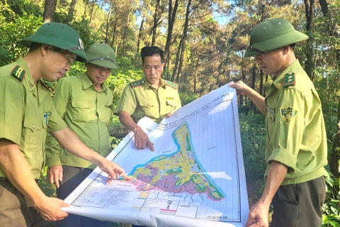 Hà Tĩnh: chủ động phòng, chống cháy rừng đợt cao điểm nắng nóng