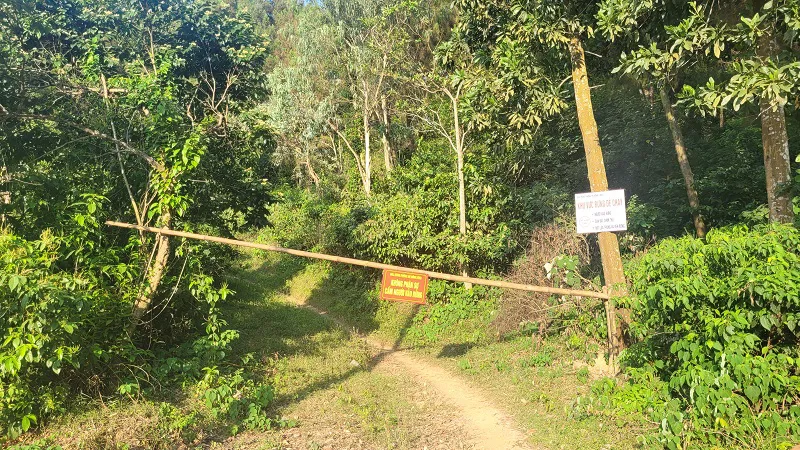 Hình ảnh 7