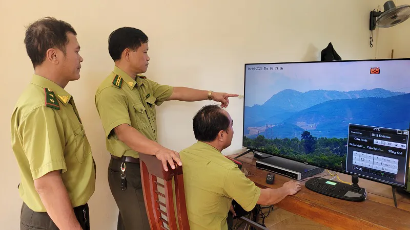 Hình ảnh 9