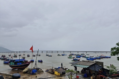 Hà Tĩnh: gần 4.000 tàu thuyền vào nơi tránh trú an toàn
