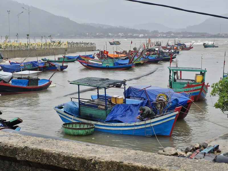 Hình ảnh 2