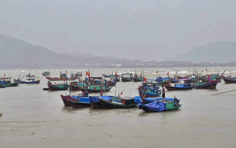 Hình ảnh 3