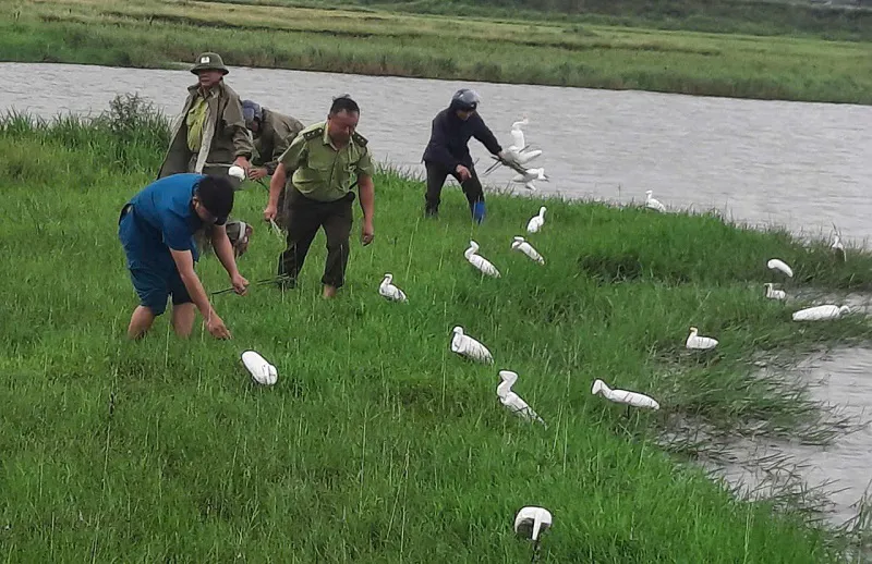 Hà Tĩnh: tiêu hủy gần 75.000 công cụ săn bắt chim di cư tự nhiên