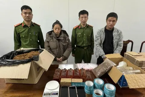 Hà Tĩnh: triệt phá đường dây mua bán ma túy trên telegram