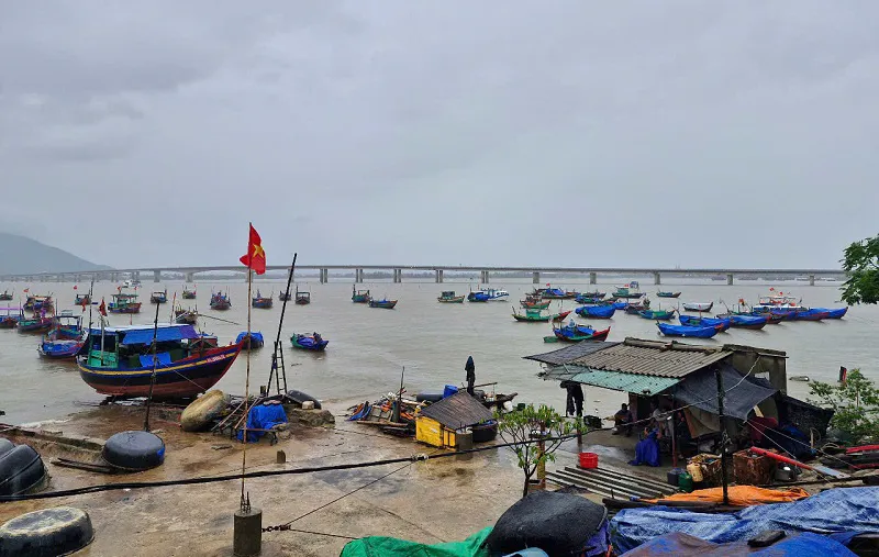 Hình ảnh 4
