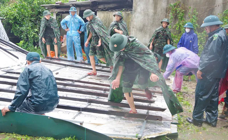 Hình ảnh 3