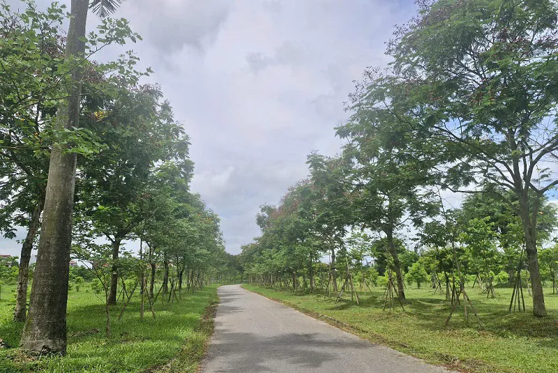 Hình ảnh 3