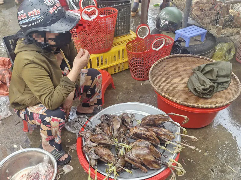 Hình ảnh 5