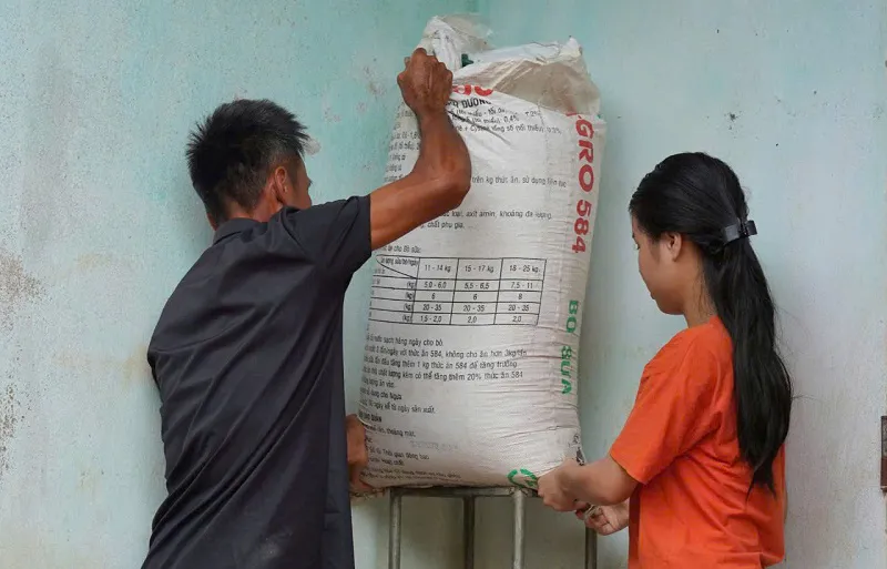 Hình ảnh 3