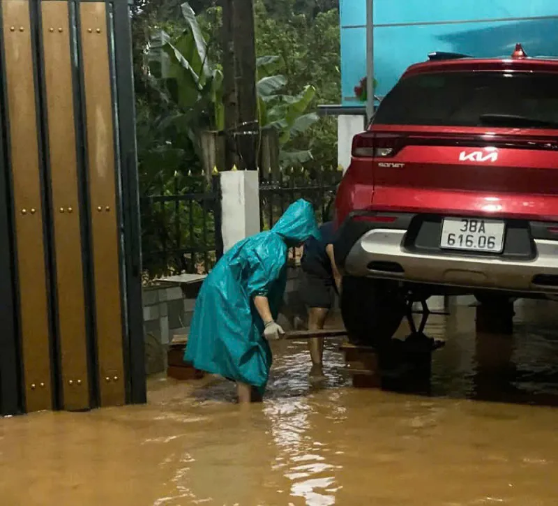 Hình ảnh 2