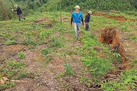 Hà Tĩnh: xuất hiện vết nứt kéo dài trên núi khu vực biên giới