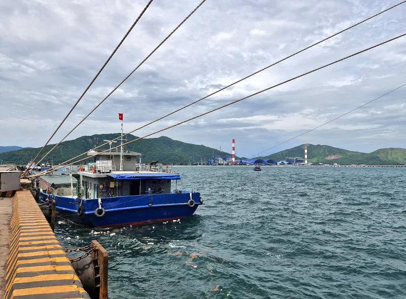Hình ảnh 4