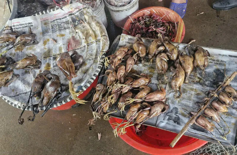 Hình ảnh 6