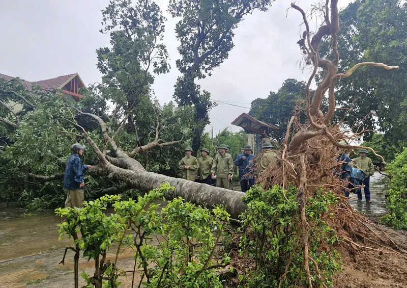Hà Tĩnh: cây xanh gãy đổ ngổn ngang sau mưa bão