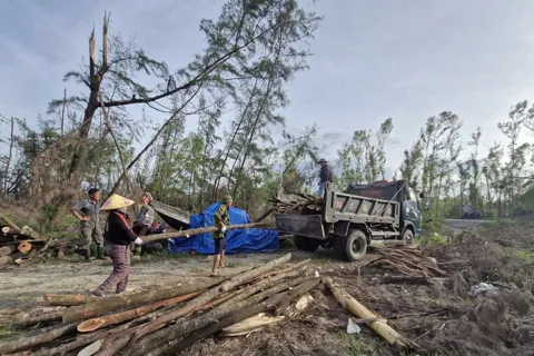 Hà Tĩnh: tập trung khai thác, tận thu gỗ rừng trồng sau mưa bão