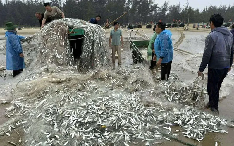 Hà Tĩnh: khai thác hiệu quả nguồn lợi thủy sản