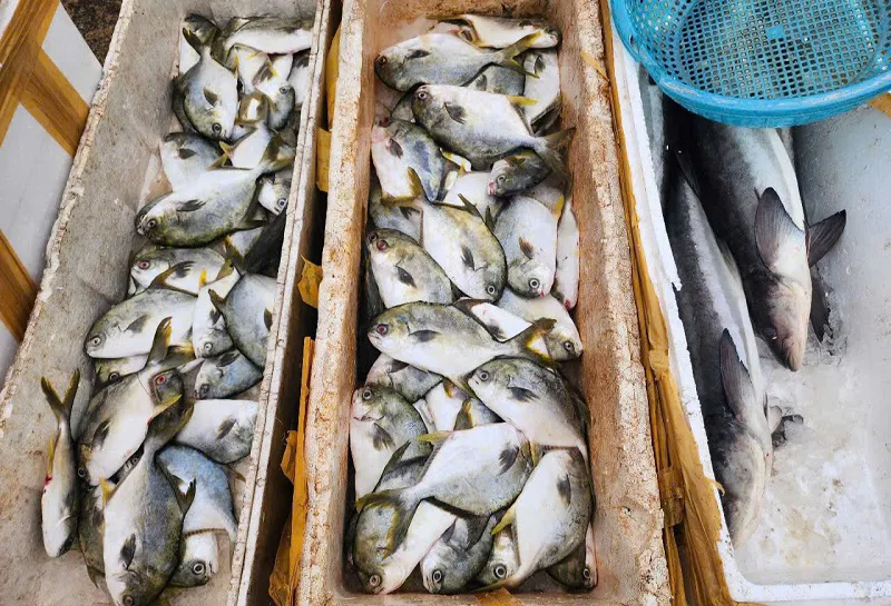 Hình ảnh 5