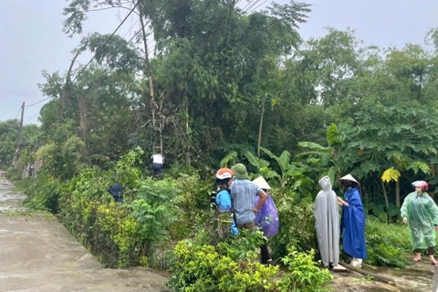 Hà Tĩnh: chủ động ứng phó bão số 3