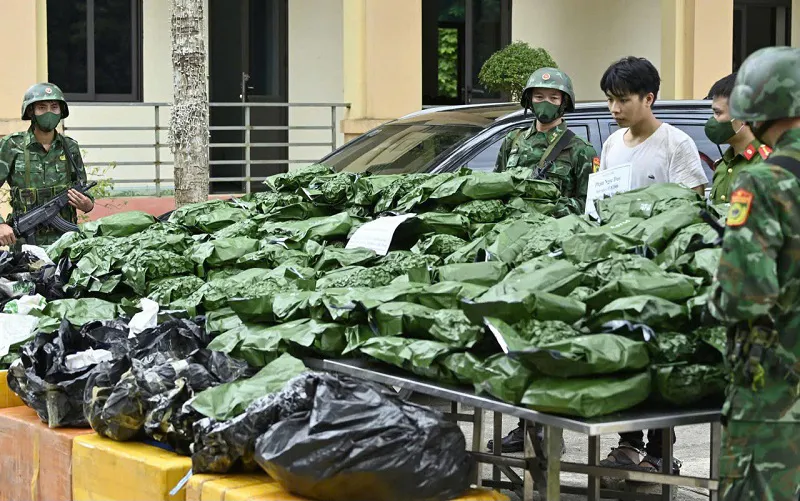 Hà Tĩnh: bắt đối tượng vận chuyển và tàng trữ 240kg cần sa