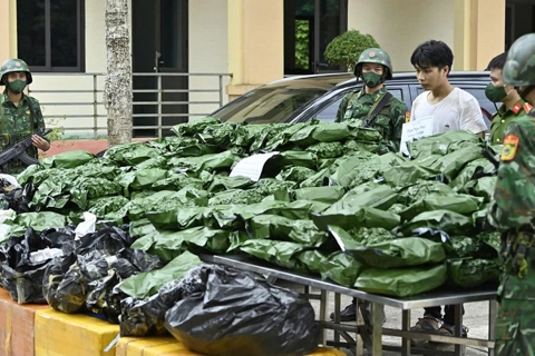 Hà Tĩnh: bắt đối tượng vận chuyển và tàng trữ 240kg cần sa