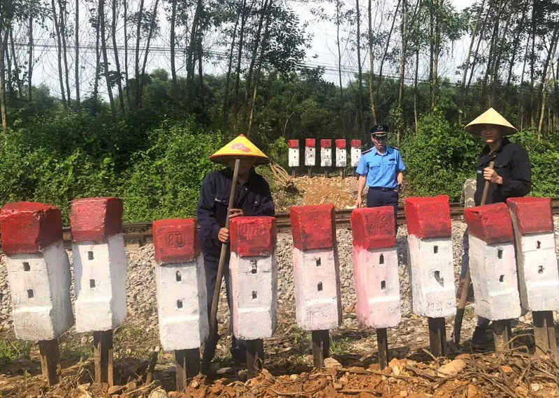 Hình ảnh 2